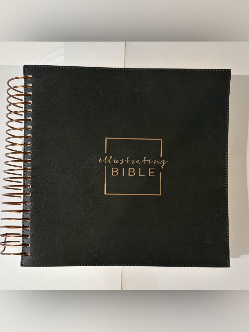 Dayspring NIV Illustrating Bible Spiral Bound Journaling Wide Margin Artistic